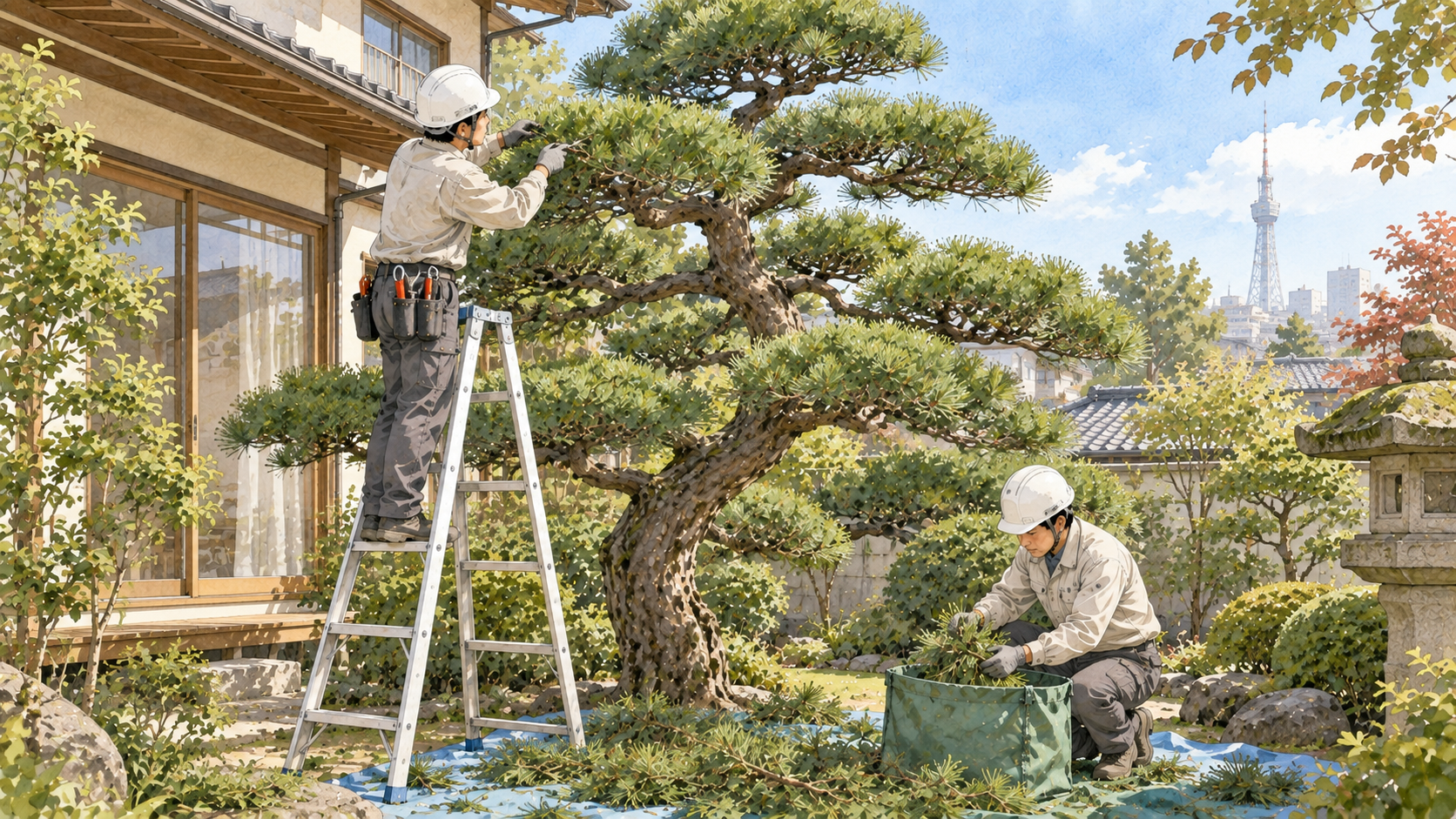 名古屋で松の剪定を依頼する前に知っておきたい、その特殊性と専門性